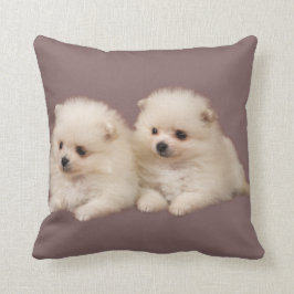 Kleine Fluffy White Pommommeren Puppies Pillow Kussen