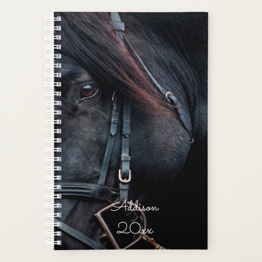 Kleine Foto Planner 2025 Harde Kaft (Voorkant)