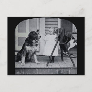 Kleine fotograaf en Hare Sint-Bernard Vintage Briefkaart