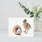 kleine gans en cavia ' s briefkaart (Staand voorkant)