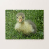 kleine gans in graszode legpuzzel (Horizontaal)