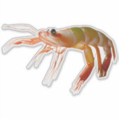 Kleine garnaal sterk sticker (Voorkant)