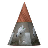 kleine geit feesthoedjes (Links)