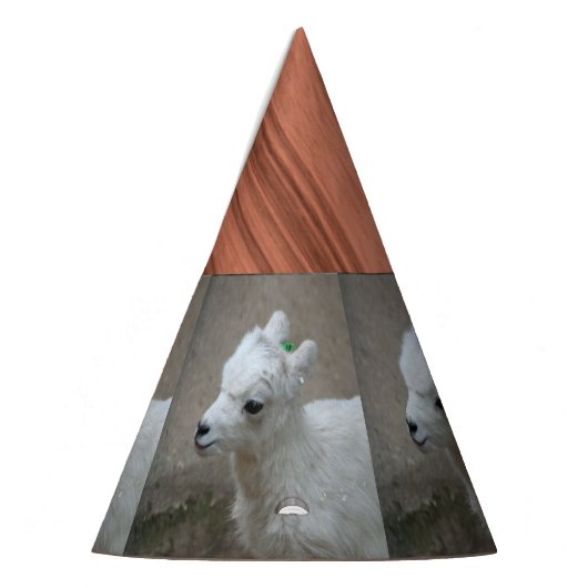 kleine geit feesthoedjes (Links)