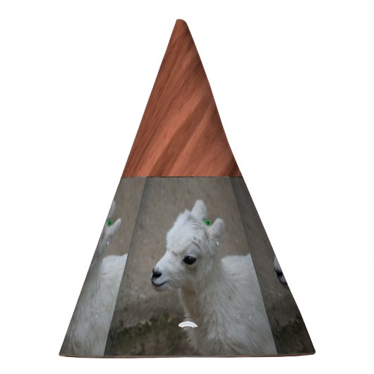 kleine geit feesthoedjes (Rechts)