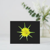 Kleine Geitenbaard Wilde Bloem Briefkaart (Staand voorkant)