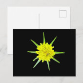 Kleine Geitenbaard Wilde Bloem Briefkaart (Voorkant / Achterkant)