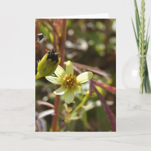  kleine gele bloem kaart (Voorkant)
