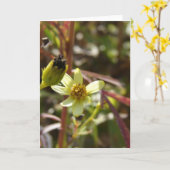  kleine gele bloem kaart (Gele Bloem)