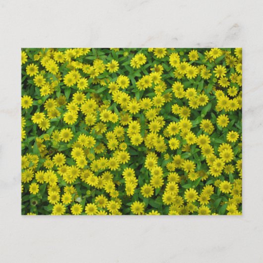  kleine gele bloemen briefkaart (Voorkant)