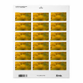 Kleine gele bloemen etiket (Full Sheet)