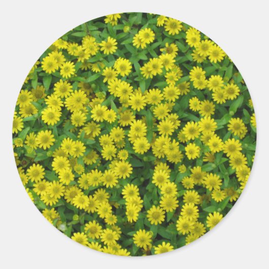 kleine gele bloemen ronde sticker (Voorkant)
