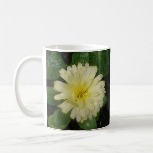 Kleine Gele Marigold Mok (Links)