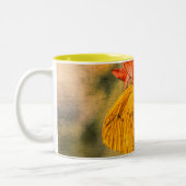 Kleine gele Mok zwavelvlinder (Links)