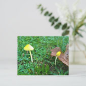 Kleine gele paddenstoelen briefkaart (Staand voorkant)