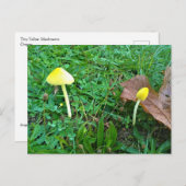 Kleine gele paddenstoelen briefkaart (Voorkant / Achterkant)