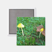 Kleine gele paddenstoelen magneet (Voorkant / Achterkant)