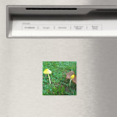 Kleine gele paddenstoelen magneet (Insitu (Vaatwasser))