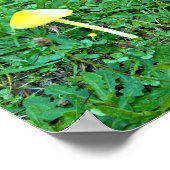 Kleine gele paddenstoelen poster (Hoek)