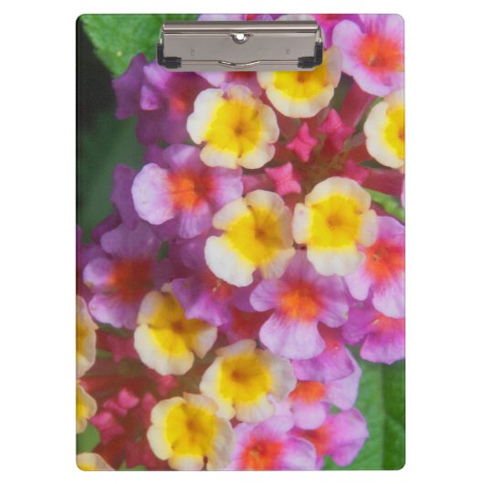 Kleine gele roze en Paarse tropische bloemen Klembord (Voorkant)