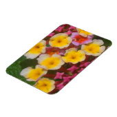 Kleine gele tropische bloemen met roze knoppen magneet (Linkerzijde)