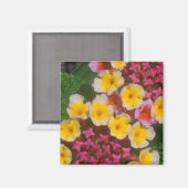 Kleine gele tropische bloemen met roze knoppen magneet (Voorkant / Achterkant)