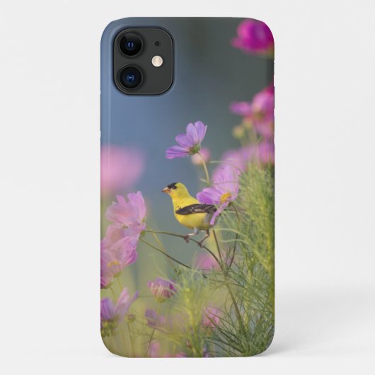Kleine gele vogel in de bloemen Case-Mate iPhone case (Achterkant)