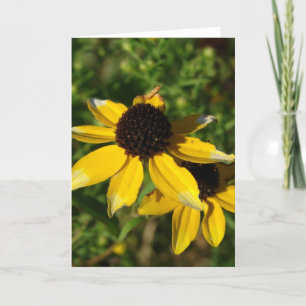 Kleine gele wilde bloemen kaart