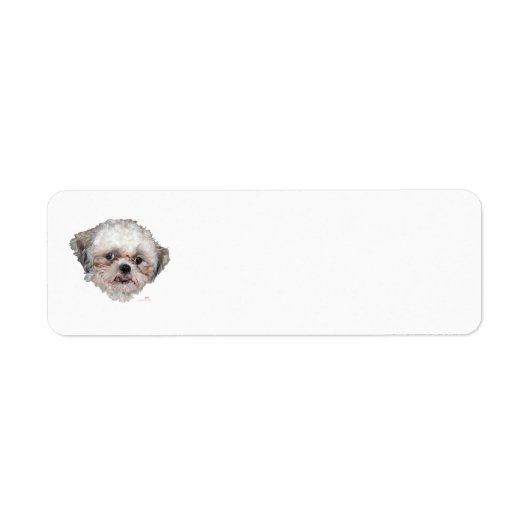 Kleine geredde Shih Tzu-kopstudie Etiket (Voorkant)