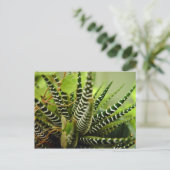 Kleine gestreepte cactus met groene spiering briefkaart (Staand voorkant)