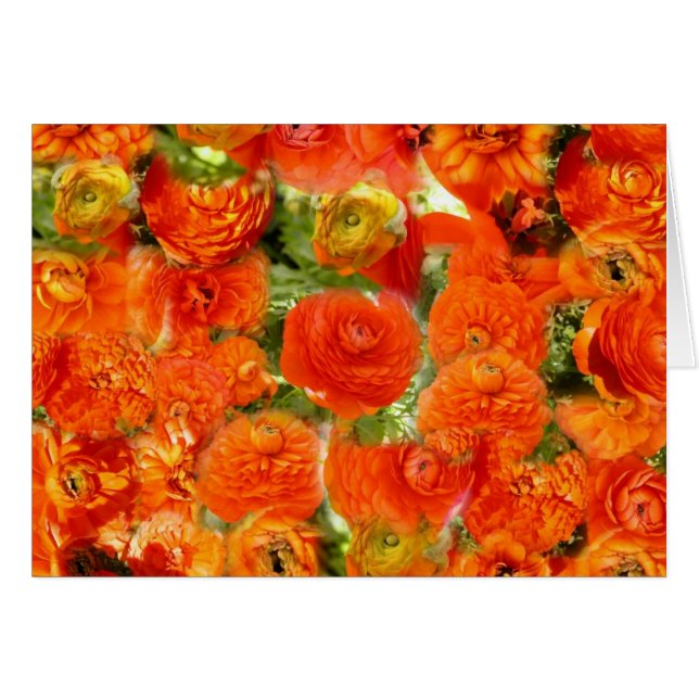 Kleine gezichten (Voorkant Horizontaal)