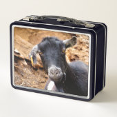 KLEINE GOAT (Achterkant)