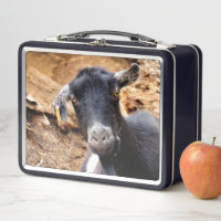 KLEINE GOAT