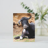 KLEINE GOAT BRIEFKAART (Staand voorkant)