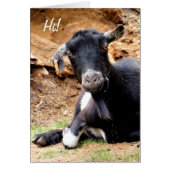 KLEINE GOAT-Kaart (Voorkant)