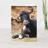 KLEINE GOAT KAART (Voorkant)