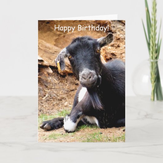 KLEINE GOAT KAART (Voorkant)