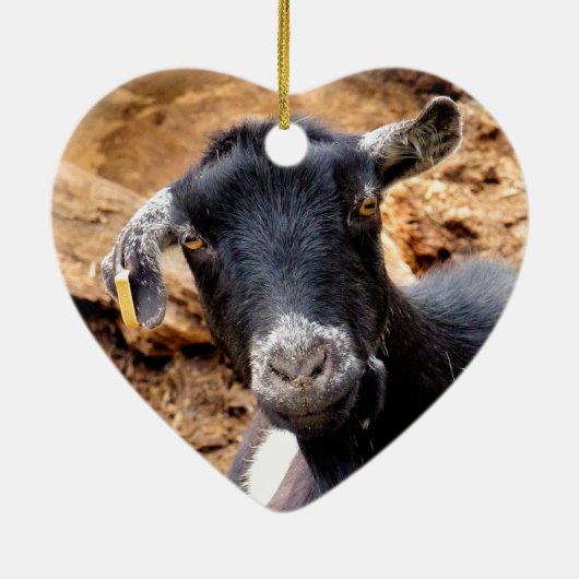 KLEINE GOAT KERAMISCH ORNAMENT (Achterkant)