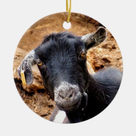 KLEINE GOAT KERAMISCH ORNAMENT (Voorkant)
