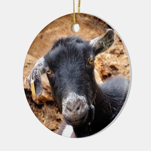 KLEINE GOAT KERAMISCH ORNAMENT (Links)