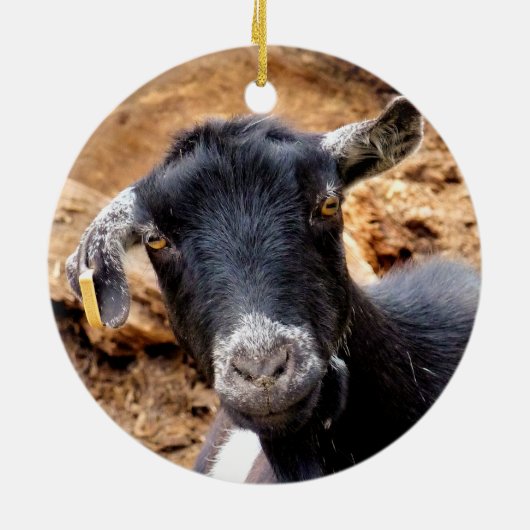 KLEINE GOAT KERAMISCH ORNAMENT (Achterkant)