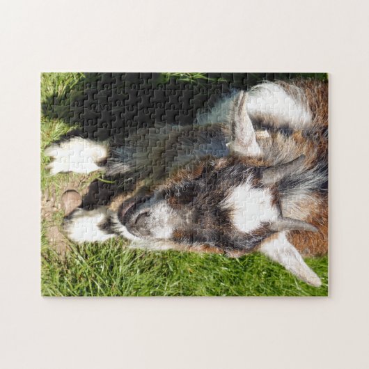 KLEINE GOAT LEGPUZZEL (Horizontaal)