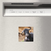KLEINE GOAT MAGNEET (Insitu (Vaatwasser))