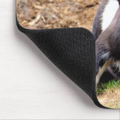 KLEINE GOAT MUISMAT (Hoek)