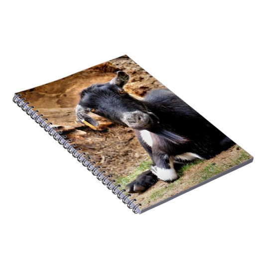 KLEINE GOAT NOTITIEBOEK (Rechterzijde)