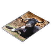 KLEINE GOAT NOTITIEBOEK (Linkerzijde)
