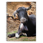 KLEINE GOAT NOTITIEBOEK (Voorkant)