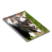 KLEINE GOAT NOTITIEBOEK (Rechterzijde)