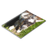 KLEINE GOAT NOTITIEBOEK (Linkerzijde)