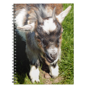 KLEINE GOAT NOTITIEBOEK